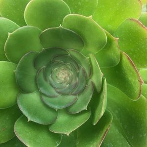 Meet your Posher, Trang